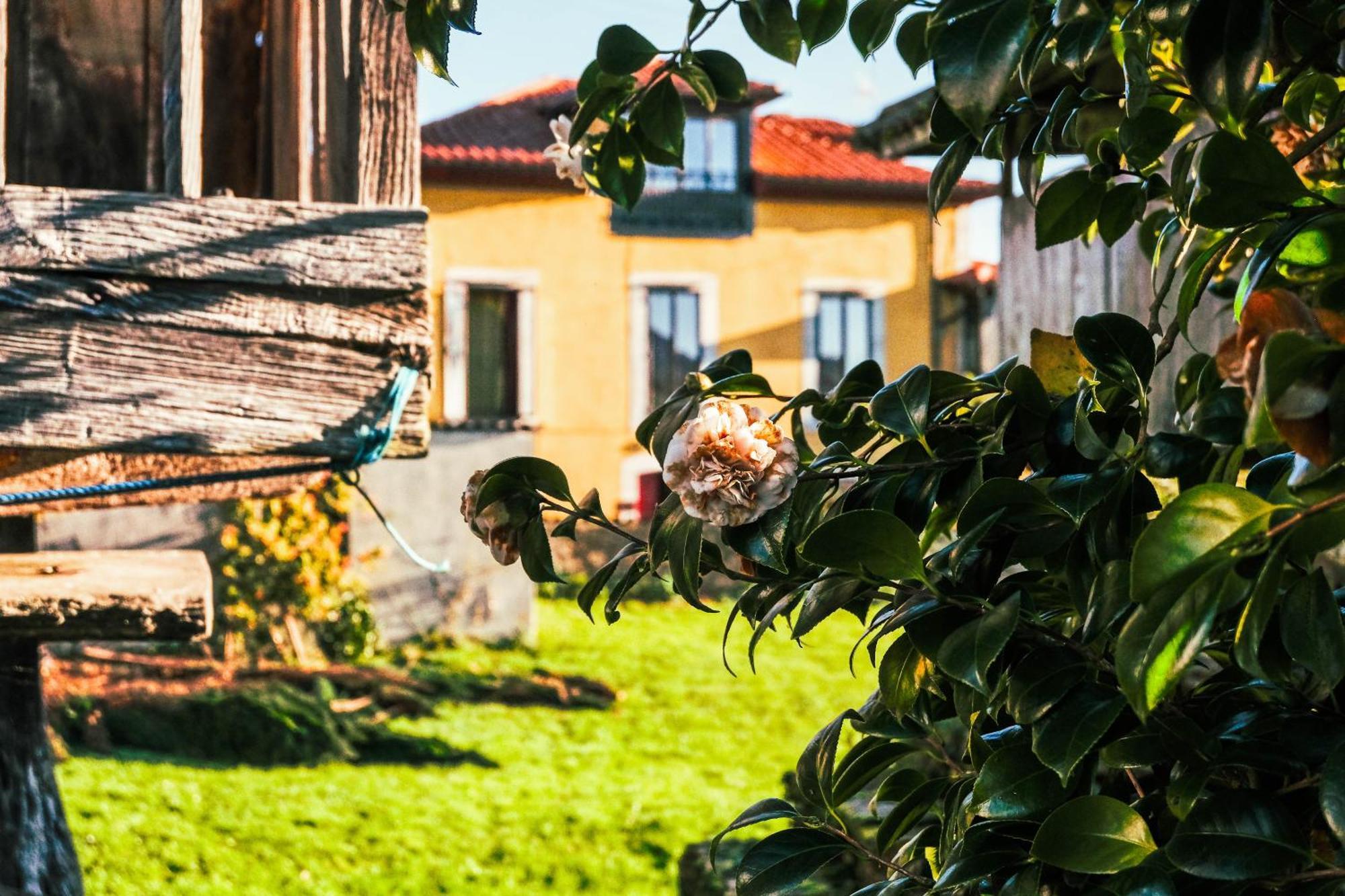 La Casona De Faedo Pension Hotel Eksteriør billede