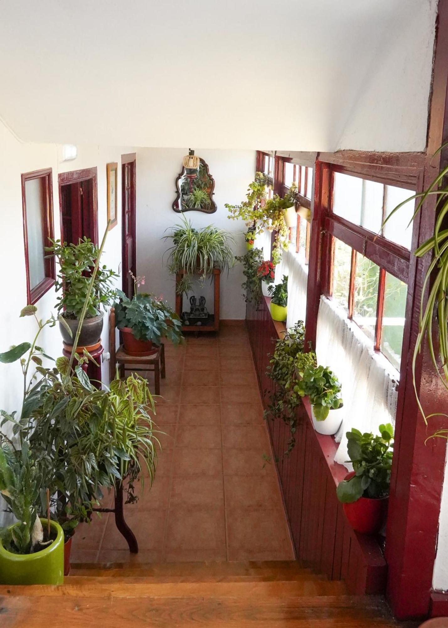 La Casona De Faedo Pension Hotel Eksteriør billede